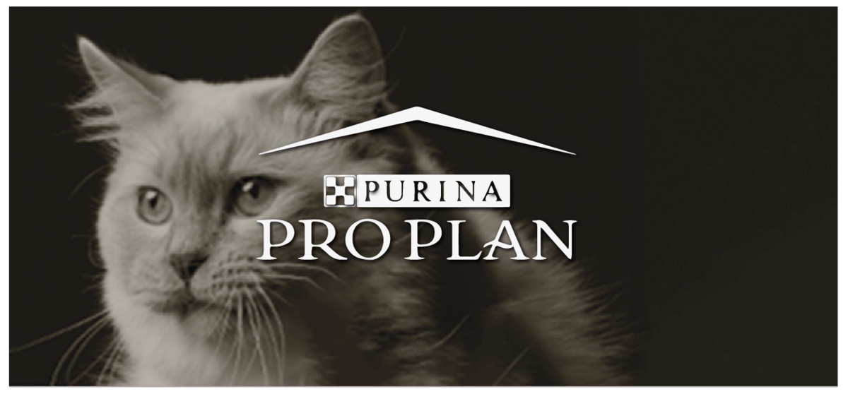 PROPLAN_NF.png